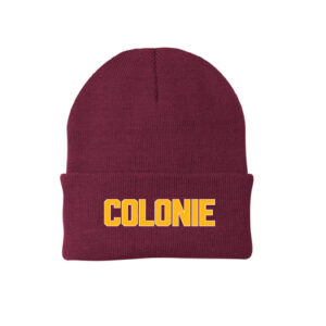 Colonie Fold Beanie